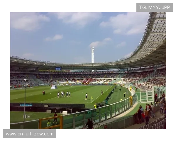 罗马奥林匹克球场启动草皮更换工程 罗马奥林匹克球场启动草皮更换工程