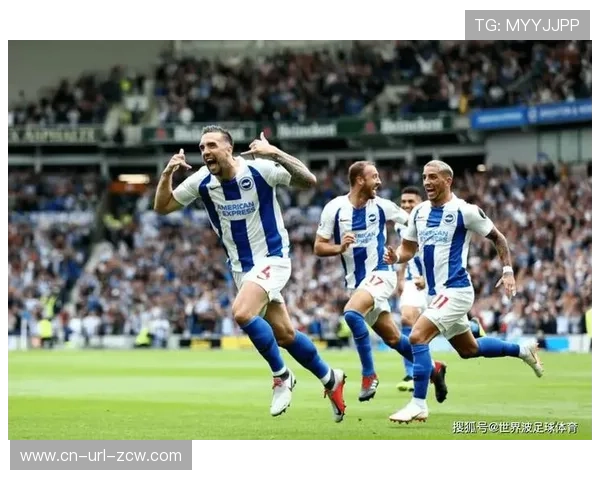 数据模型显示，布莱顿主场战胜谢菲联的概率高达78%